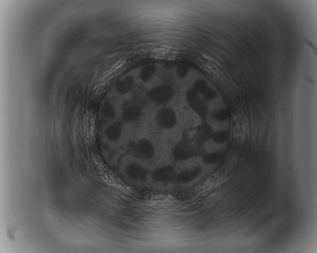 X0000100221154200806061338