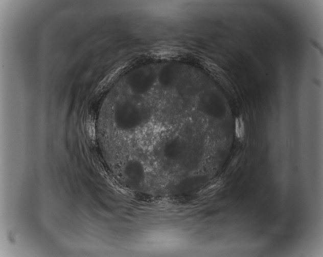 X0000100221155200806061338