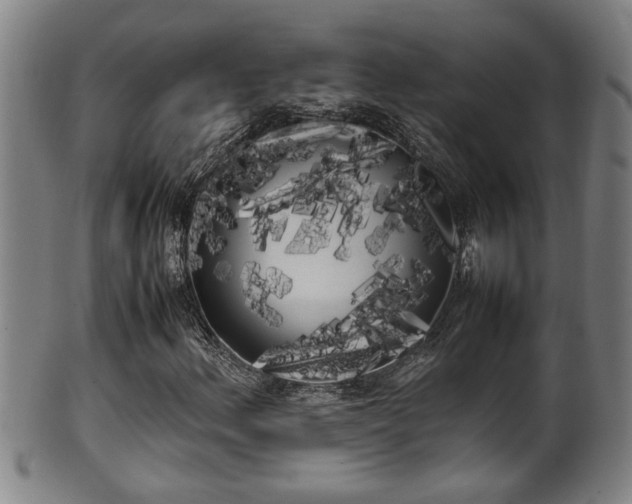 X0000100221156200806061338