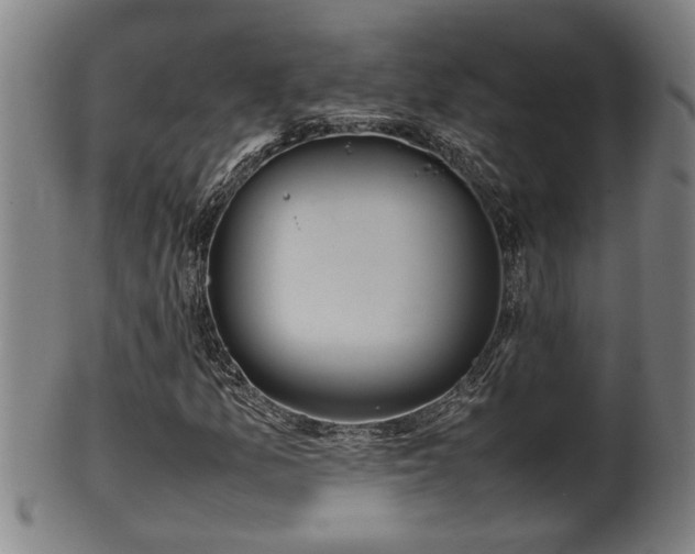 X0000100221157200806061338