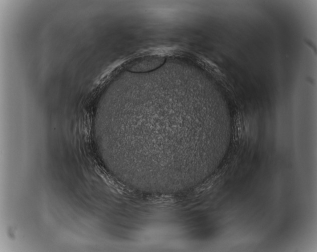 X0000100221158200806061338