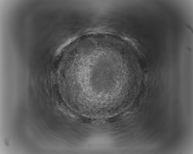 X0000100221159200806061338