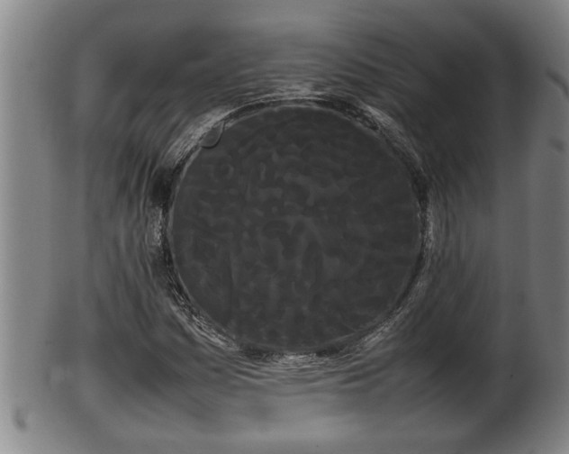 X0000100221161200806061338