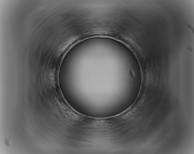 X0000100221162200806061338