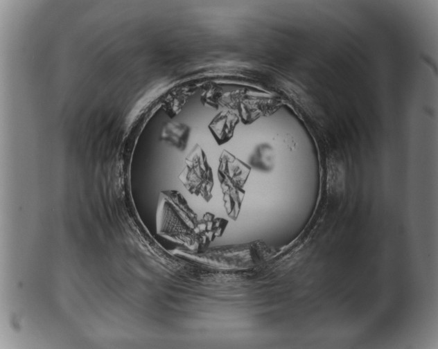 X0000100221164200806061338