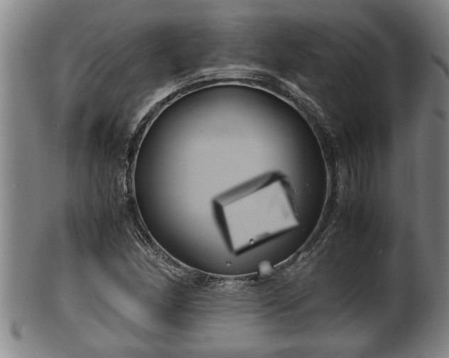 X0000100221166200806061338