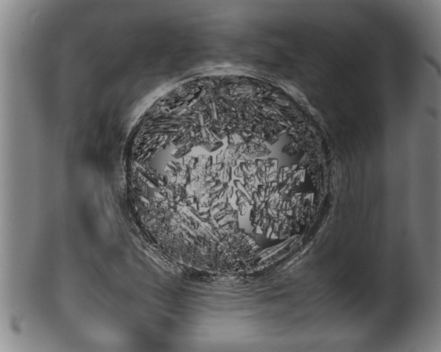 X0000100221167200806061338