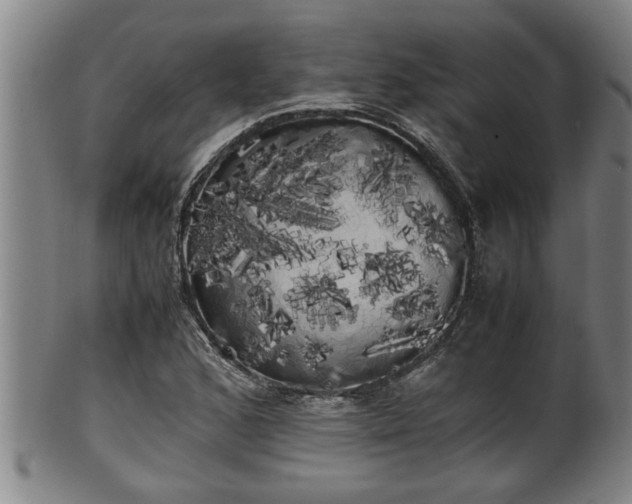 X0000100221168200806061338