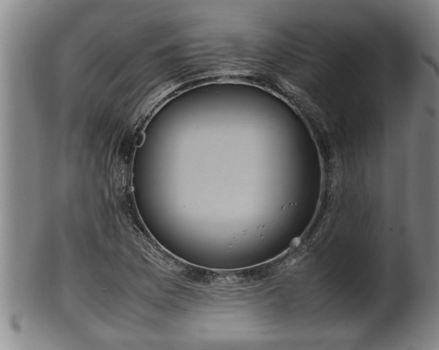 X0000100221169200806061338