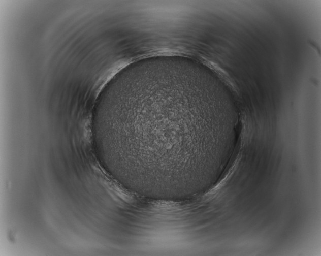 X0000100221170200806061337