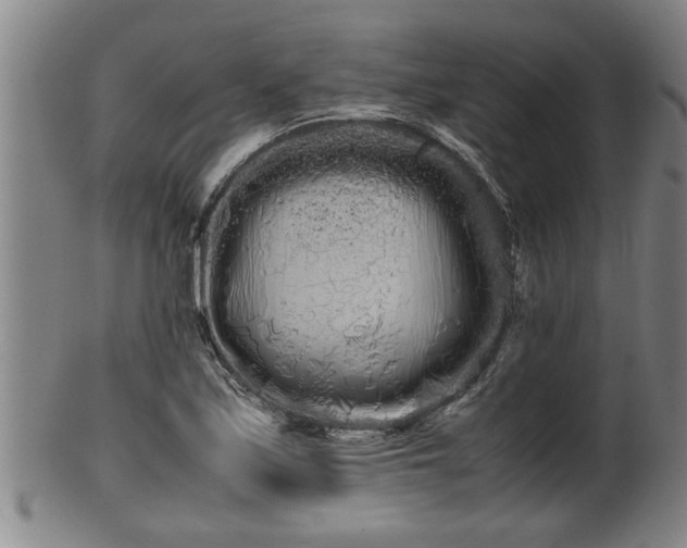 X0000100221171200806061337