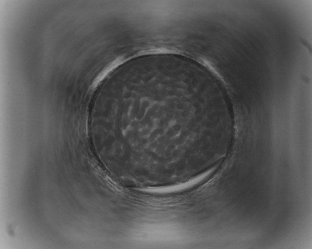 X0000100221173200806061337