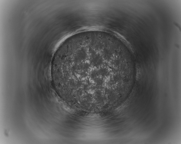 X0000100221174200806061337