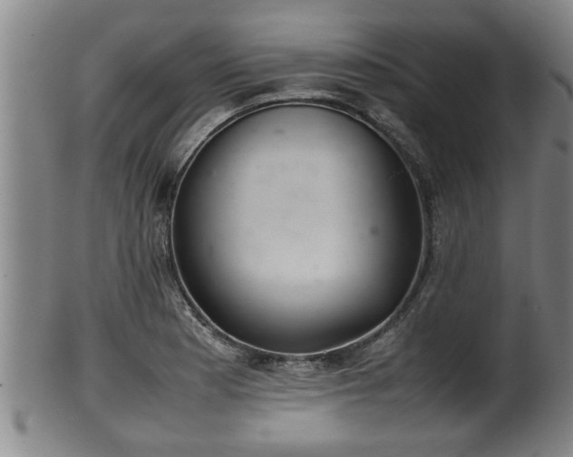 X0000100221177200806061337