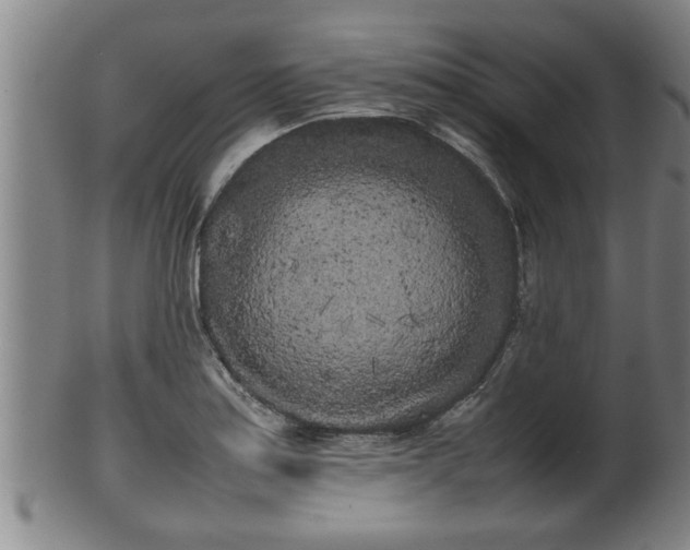 X0000100221179200806061337