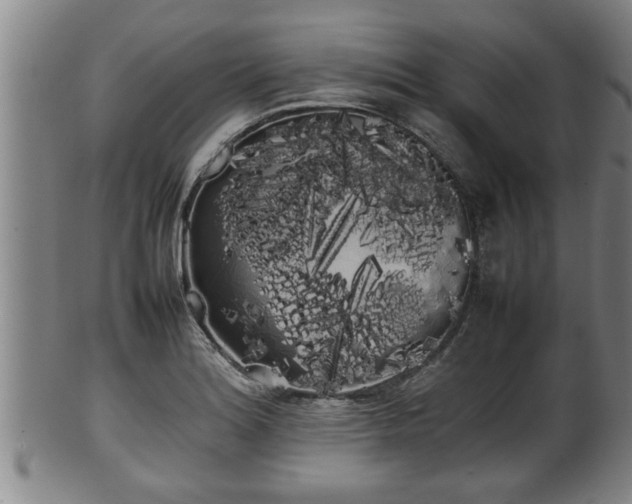 X0000100221180200806061337