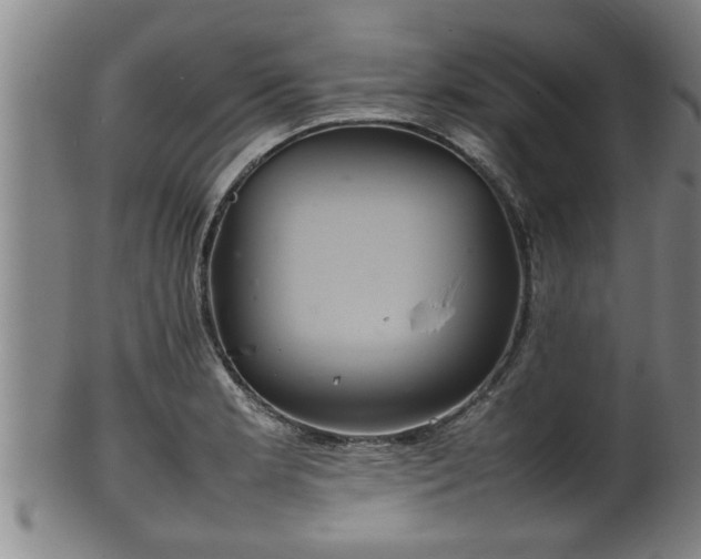 X0000100221181200806061337