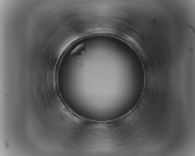 X0000100221182200806061337