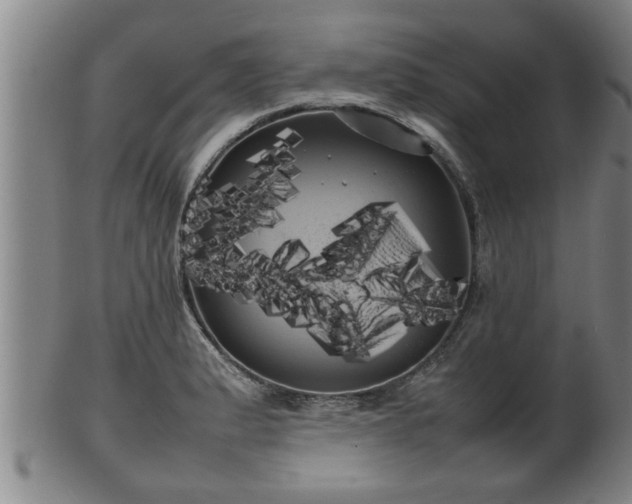 X0000100221183200806061337