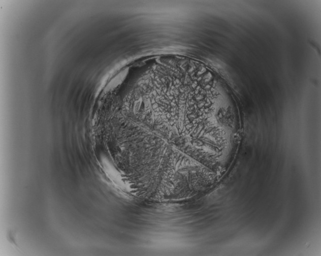 X0000100221184200806061337