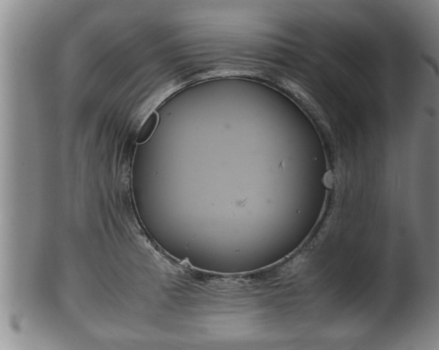 X0000100221185200806061337