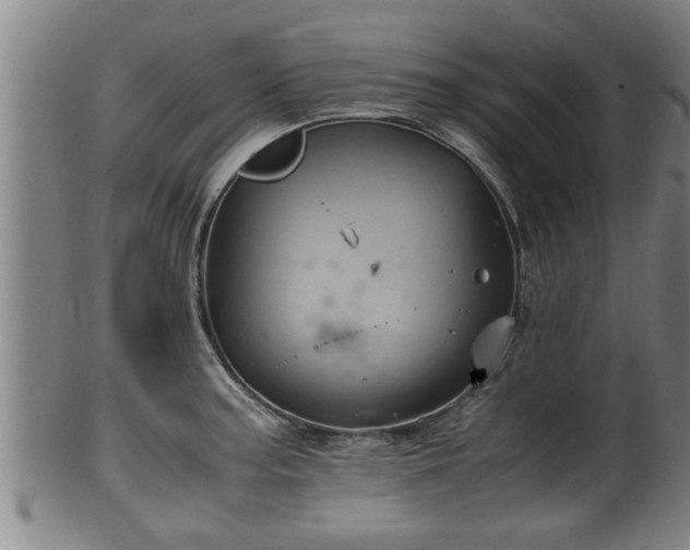 X0000100221187200806061337