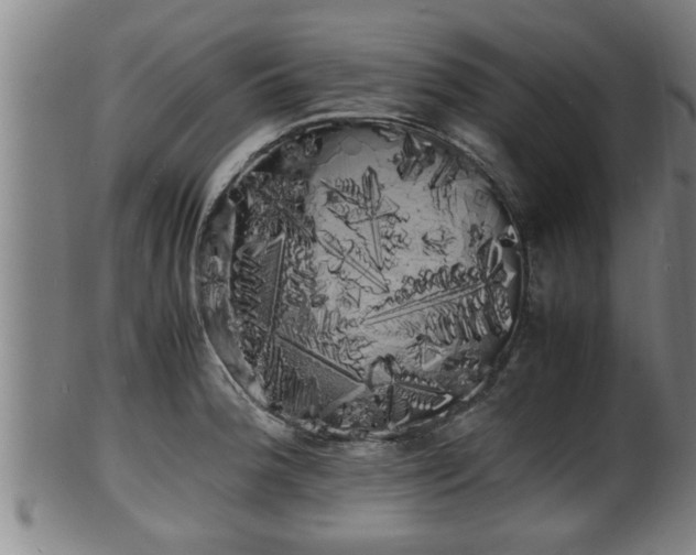 X0000100221188200806061337