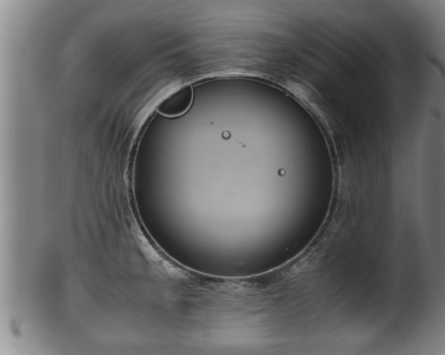 X0000100221189200806061337