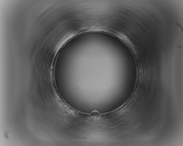 X0000100221190200806061337