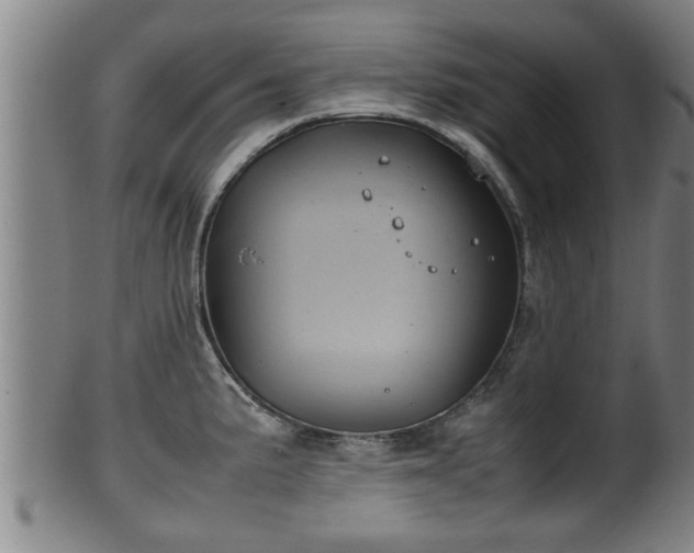 X0000100221191200806061337