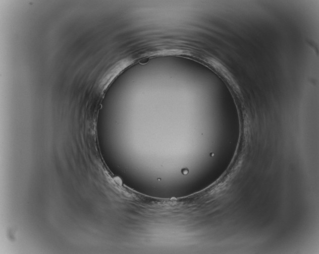 X0000100221193200806061337