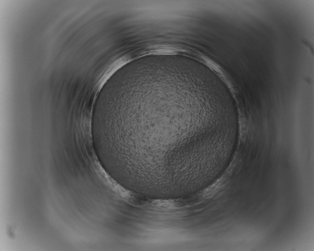 X0000100221194200806061337