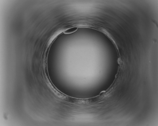 X0000100221195200806061337