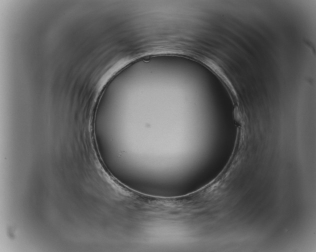 X0000100221197200806061337