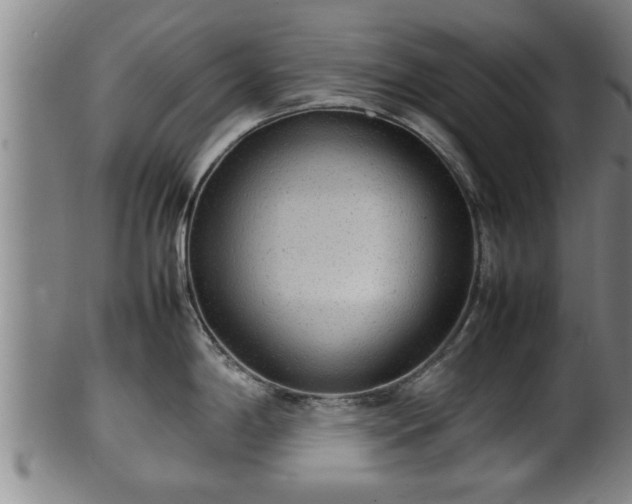 X0000100221198200806061337