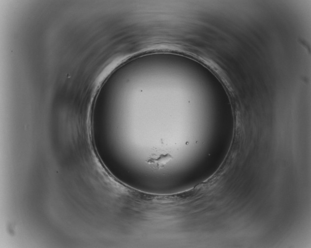 X0000100221199200806061337