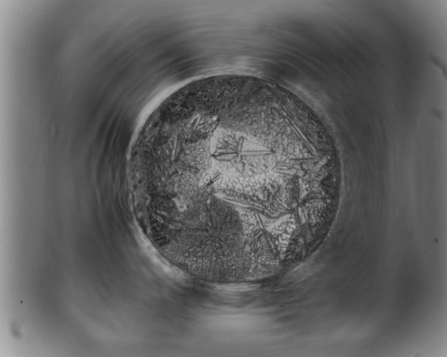 X0000100221200200806061337