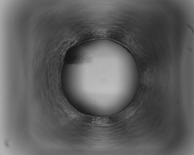 X0000100221201200806061336