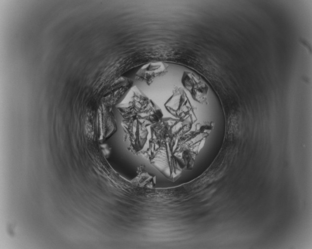 X0000100221202200806061336