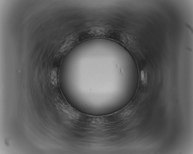 X0000100221203200806061336