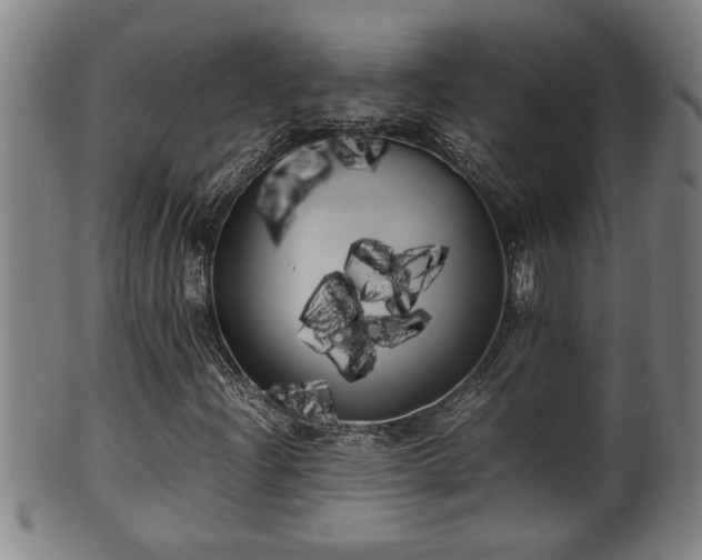X0000100221204200806061336