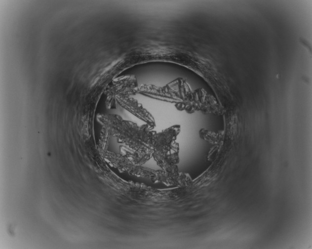 X0000100221205200806061336