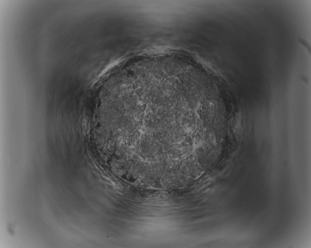 X0000100221206200806061336