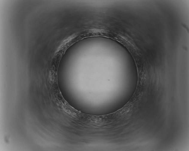 X0000100221207200806061336