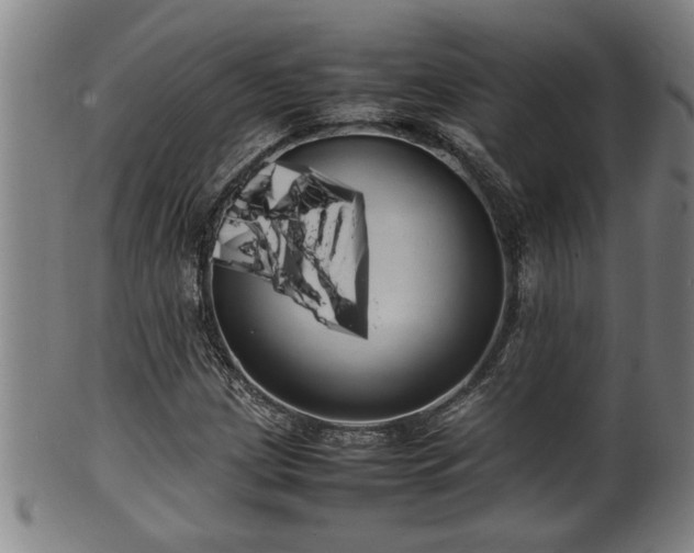 X0000100221209200806061336