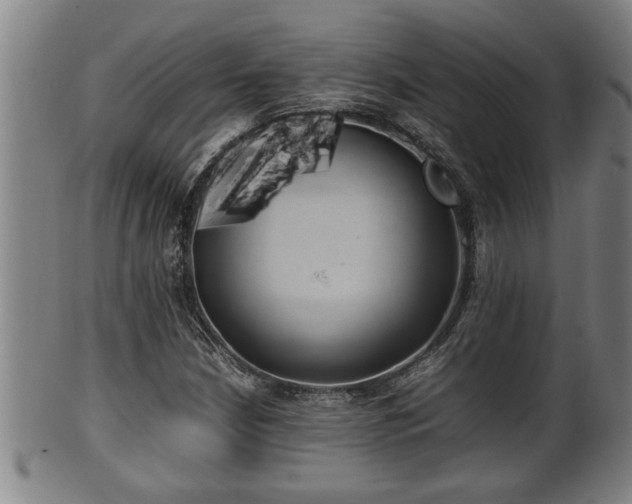 X0000100221210200806061336