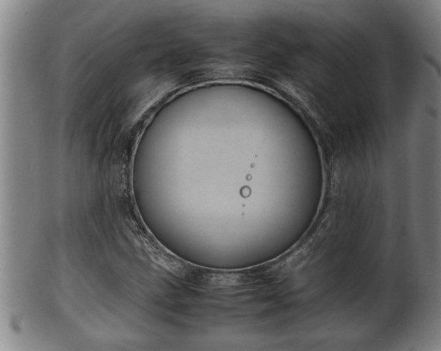 X0000100221211200806061337