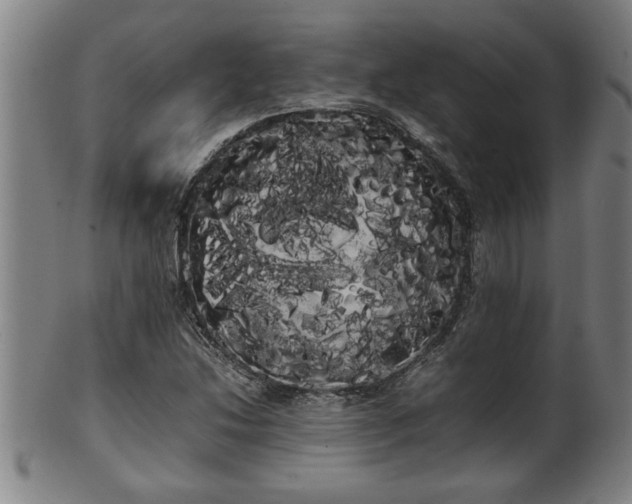 X0000100221214200806061337