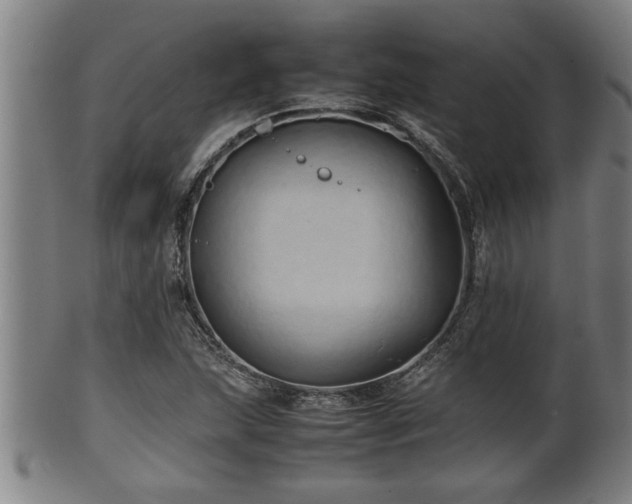 X0000100221215200806061337