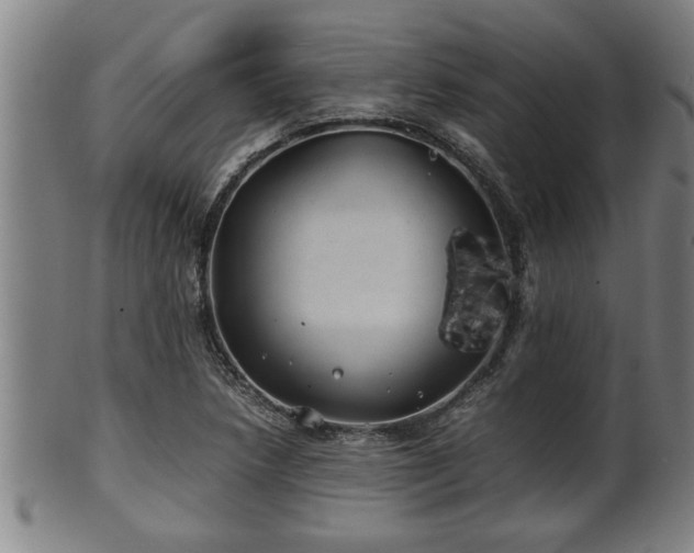 X0000100221218200806061337